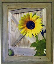 Rustic Sunflower